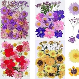 iKalaa 130+ Pieces Real Pressed Dried Flowers Leaves Combo | Multicolored Pressed Flowers for DIY Candle Resin Jewelry Nail Pendant Crafts Making Art Floral Decorations-image-60