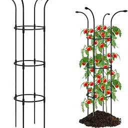 HASTHIP® 51 inch Flower Trellis Climbing Plants Trellis Plant Support Frame Sheathed Steel Pipe Plant Climber Structure 11 inch Dia Garden for Roses,Morning Glories,Clematis-picture-19