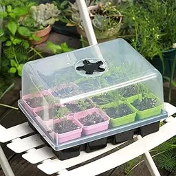 Zyvola Indoor Gardening Seed Starting Kit - 12 Cell Seed Tray for Seedlings & Herbs-picture-38