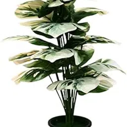 aavana greens 30" Artificial Plants Green Monstera, Home Garden Living Room Bedroom Balcony Decoration Tropical Fake Plant, Festival Decoration White-Green (Pack of 1, Plant with Pot)-image-52