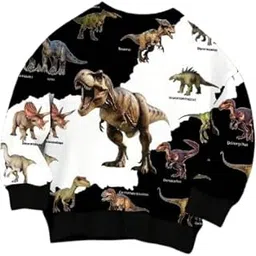 Boys Humour and Comic Printed Long Sleeves Sweatshirt(BL-BHD-17 Daina Black 11-12)-picture-21