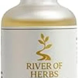 Hair Growth Serum with Redensyl, Anagain, Baicapil & Rosemary Extract | Boosts Hair Growth, Reduces Thinning & Breakage | Strengthens Roots & Nourishes Scalp (50ml)-picture-41