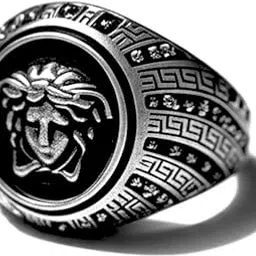 the men thing GORGON CREST RING Royal Series - GORGON CREST RING - Pure Stainless Steel Men’s Steel-Plated Ring – Statement Luxury Jewelry (Size : 19-22-27)-picture-28