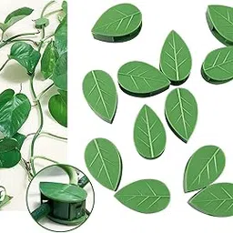 Wall Fixing Clips for Plants, 40 Pieces Garden Vegetables Plant Support Binding Clip Invisible Wall Vines Self-Adhesive Clips Plant Vine Traction for Indoor and Outdoor Decoration-picture-14
