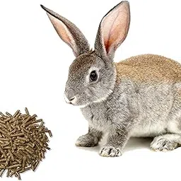 BIO BLOOMS AGRO INDIA PRIVATE LIMITED Nutritious Supplement Feeds For Adult Rabbit (3Kg), Pellet-picture-41