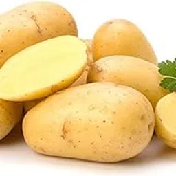 AYODHYAvati organic potato seeds for forming 30pes-picture-32