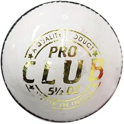 DSC Pro Club Cricket Leather Ball (White)-image-7