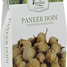 YUVIKA Paneer Dodi - Paneer Ke Phool - Withania Coagulan 250 Grams-image-60