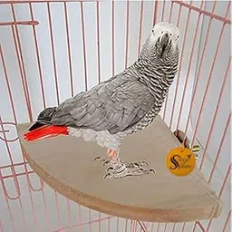 Sage Square 8inch/20 cm Light Weight Natural Wood Corner Platform/Perch/Stand Bird Toy for Sun Conure, Pionus, Quaker Parrot, Cockatiel, Finch, Canary, Lovebird, Budgerigar, Budgeri-picture-21