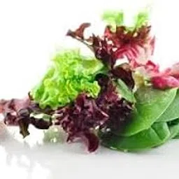 Divya seeds Lettuce Mixed Salad Leaves 100% Organic Seeds - 50 Seeds-picture-31