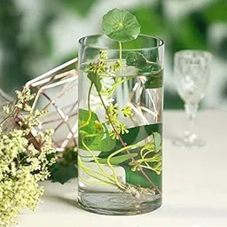 CRAFTFRY Home Decoration Glass Clear Cylinder Vase Floral Wide Cylinder Glass Vase for Weddings, Events, Decorating, Arrangements, Flowers, Office, or Home Decor (8 Inch, 1)-picture-13