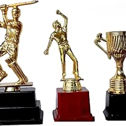 Three Set of Trophies-picture-17