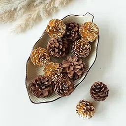 Dazzle Brown and Gold Pine Cones (Set of 10) |Natural Dried Flower | Eco-Friendly Flowers for Home, Office, Bedroom, Table Decoration and Craft Items Corner (Without Vase Pot)-image-40
