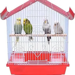Jainsons Pet Products Bird Cage for Parakeet, Lovebird/Pet, Parrot, Budgie, Cockatiel Cage Hammock 11 Inch (Color May Vary)-image-18