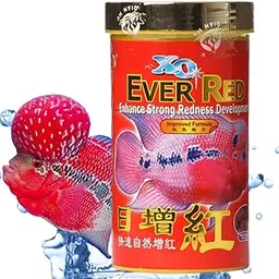 VAYINATO All Life Stages Pellet Ocean Free Xo Ever Red (Original) Fish Food, 280Ml/100G|Enhance Strong Redness Development For Flowerhorn Fish-image-12