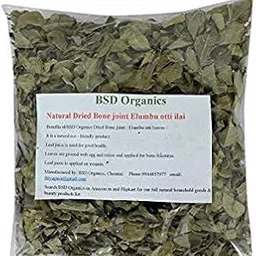 BSD Organics Natural Dried Bone joint Elumbu otti ilai/Kooravaal Chedi/Kodali soppu/Murikootipacha/kolagohoma (30 Gram)-image-7