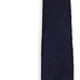 Men Navy Embroidered Tie-image-58
