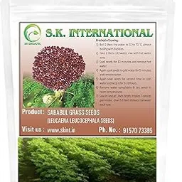 SK ORGANIC Sababul Grass Seeds for Cattle fodder like Goat sheep Buffalo cow (500gms)-picture-10
