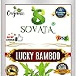 Sovata® Lucky Bamboo Plant Spray, Essential Organic Liquid Spray Fertilizer for Overall Healthy Growth of All Lucky Bamboo Plants. (200 ml)-image-24