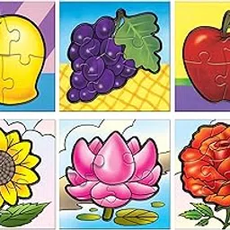 Frank 6 in 1 First Fun & Educational Jigsaw Puzzles for Kids - Combo Pack of 2 (3 Cardboard Puzzles Each) -Fruits & Flowers - Age 3 Years Old & Above- Fun & Challenging Brain Booster Games-picture-17