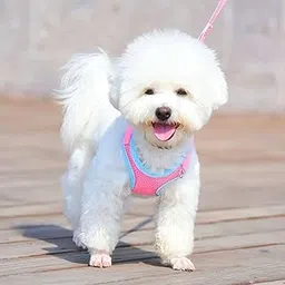 Woofy Puppy Harness and Leash Set No Pulling Plaid Walking Harness Adjustable Mesh Dog Harness with Bow Pet Comfort Padded Vest for Small Dogs and Cats (Size- Small) (Fit Weight 1-5 kg) - Multicolor-picture-51