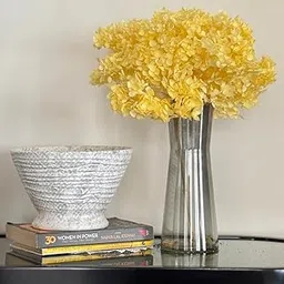 Preserved Hydrangea Dried Flowers| 65 gm| Natural Dried Blooms | Long-Lasting Real Flowers for DIY, Home Decor & Gifting | Eco-Friendly(Yellow)-picture-42