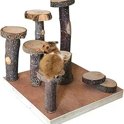 SS ORGANIC Hamster Climbing Wooden Stand Platform, Pet Cage Playground Natural Wood Bridge ramp Toys for Dwarf Hamsters, Syrians Hamster, Gerbil, Mouse, Rat-picture-35