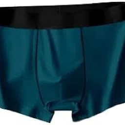 Men's Regular Fit Underwear Comfortable Nylon Trunk, Inner Garments for Men, Seamless Underwear for Men (Pack of 1)-picture-50