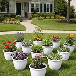 Amazon Brand - Umi Plastic Duro Flower Pot for Gardening, Indoor/Outdoor Planter-White Durable Gardening Essential Elevate Your Garden (10 Inch) (Pack of 12)-picture-20