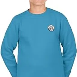Allen Solly Boys Cotton Crew Neck Sweatshirt-picture-17