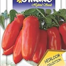 Omaxe Seeds Tomato San Marzano Heirloom (3pkts - Each 30 Seeds)-picture-16