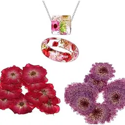 LICHTS® 20 Pieces Pressed Dried Real Flower Purple Daisy & Red Rose for Card Making|Crafts | Home Arts & Crafts | Floral Crafts | Dried Botanicals & Potpourri-picture-28