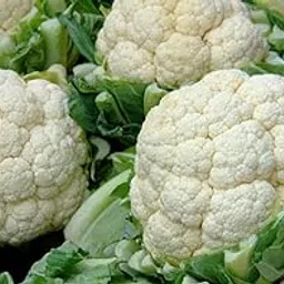 Aadi16's Premium Dried Cauliflower Florets Vegetable, Low Calorie, High Fiber, well dressed Ready to Cook or Fry, Pack of 180gm (Prepare from 6nos cauli flowers)-image-33