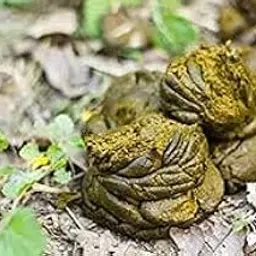 Rrk Natural Wet Cow Dung 1kg+(50gm free) for workship,plant growth and for all-picture-15