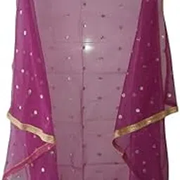omstar fashion Women's Net Material Embroidery Work Dupatta(O_S_F_00014)-picture-41
