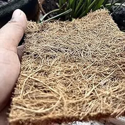 Dish Washing Scrubber | Coconut Coir | puja Utensils Cleaner | Kitchen Scrubber | Beige | 5 Pack-picture-25