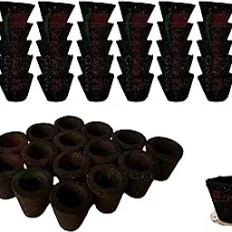 Lavish Green Empty Black Charcoal Sambrani Dhuni Cups, Your Choice Filling as Sambrani/Loban/Guggal/Camphor/Hawan samagri, etc Pack of 100 Pcs-image-2