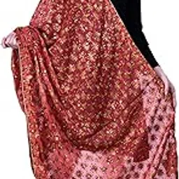 hot hairs Chiffon Phulkari Embroidered Dupatta for Women and Girls-picture-48