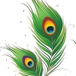 Akki World Peacock Feather Art Wall Stickers for Bedroom, Kids Room, Office, (Size - 60 Cm X 80 Cm)-picture-57