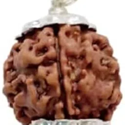Certified Gems Easy to Wear 4 Mukhi Nepal Rudraksha with Pendant and Dori Original Certified-picture-10