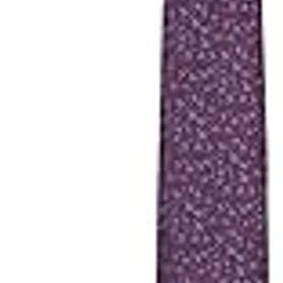 van heusen Men Maroon Embroidered Formal Tie-picture-13