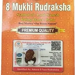 bhakti shringar Rudraksha Brown Certificate Lab Test & X-ray Report with Silver Capping| Rudraksha Pendant for Men & Women-picture-41