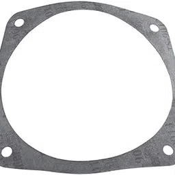 horizon spa & pool parts Gasket, G-194-picture-22
