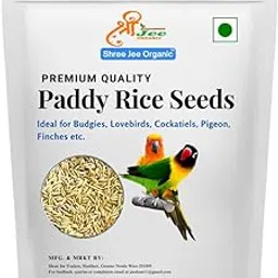 Shree jee Organic Bird Food Rice Paddy(500gm) for Cocktails,Love Birds,Silver Finches, Parkeets,Parrot,Budgie,Dove,All Birds Food-picture-11