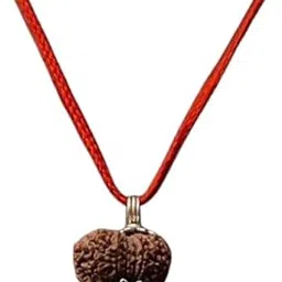 soultheory Certified Natural Mukhi/Faced Nepali Rudraksha Pendant Silver Plated - Unisex Spiritual Jewelry - Mukhi Bead For Spiritual Growth, Meditation & Energy (8 Mukhi Rudraksha)-picture-10