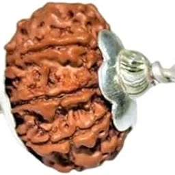 Attractive Seven Face Rudraaksh Nepali Holy Beads 7 Mukhi Rudraksha Locket Original Certified सात मुखी रुद्राक्ष Rare Saat Mukhi Saptmukhi Rudraksha For Men & Women-image-39