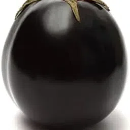 UGRA Brinjal Round Purple-G121BR-150Seeds-image-0