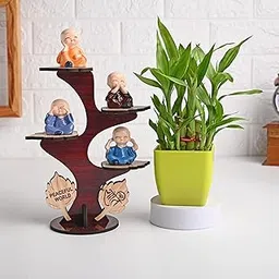 FlowerAura Air Purifying Live Indoor 2 Layer Lucky Bamboo Plant In Plastic Pot With Buddha Monk Tree For Living Room, Balcony, Bedroom, Home/Office Decor, Birthday Gift, Anniversary Gift, Diwali Gift-picture-31