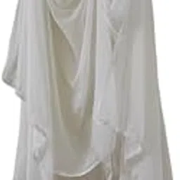 elenora Women's White Embroidered Chiffon Dupatta-picture-64