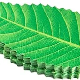 THE STYLE SUTRA 200x Artificial Leaf Sushi Plate Decor Dish Mat Sushi Dish Platter Ornaments Light Green-picture-34